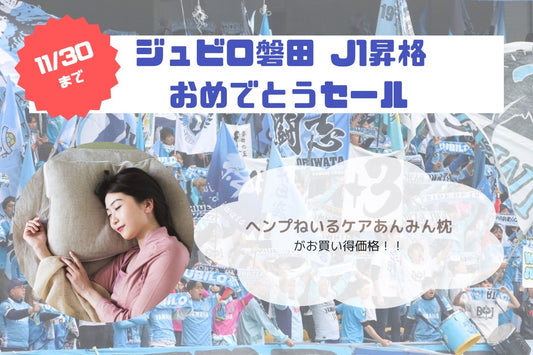 ジュビロ磐田 J1昇格おめでとう!