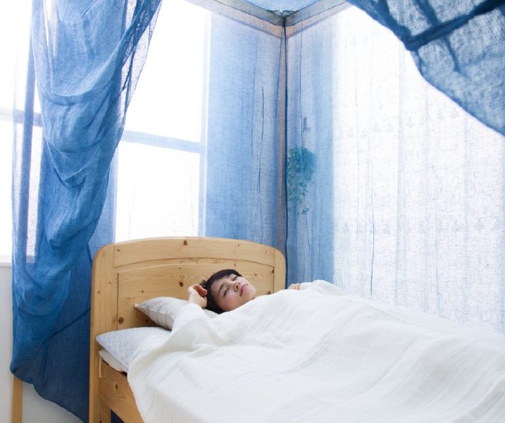 Indigo dye hemp bed mosquito net